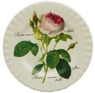 Two Redoute Rose Dessert Plates