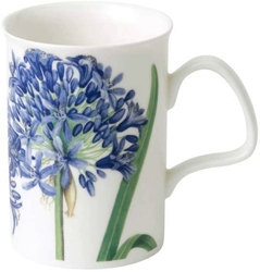 Agapanthus Mugs Set of Two