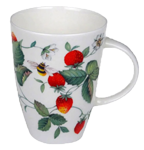 Alpine Strawberry Louise Set of Two