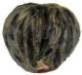 Seashell