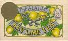 Key Lime Teabags