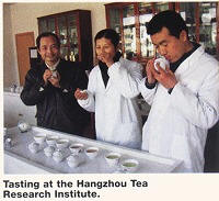 Hangzhou Tea Research