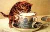 Kitten Tea Time